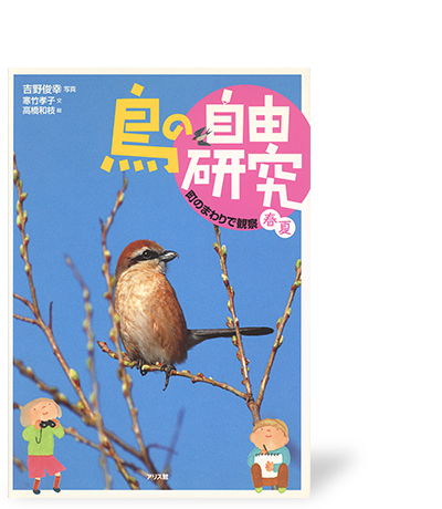 鳥の自由研究①