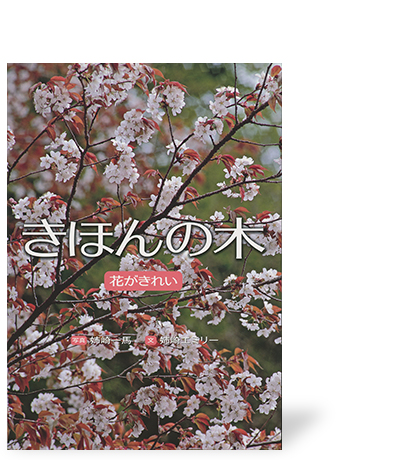 きほんの木 花がきれい