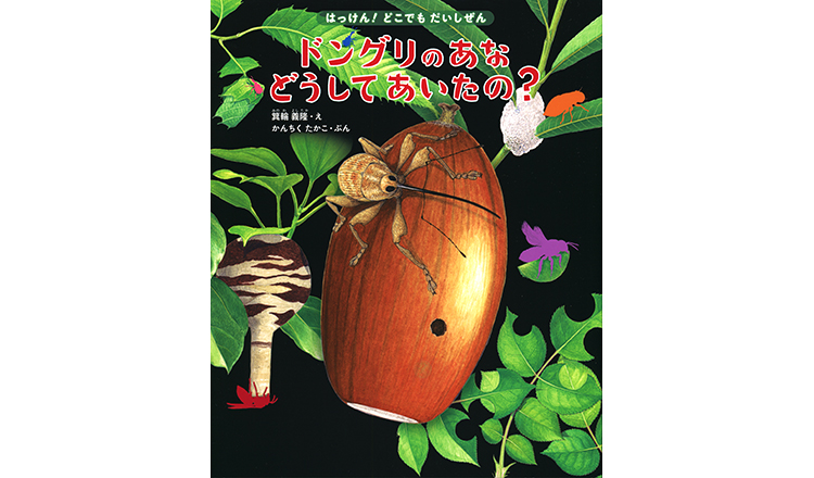 ドングリのあな どうしてあいたの？ 表紙