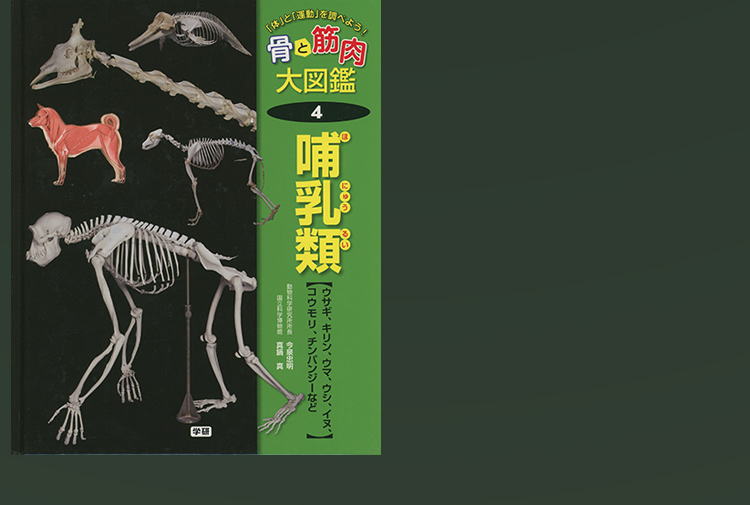 骨と筋肉 大図鑑 哺乳類
